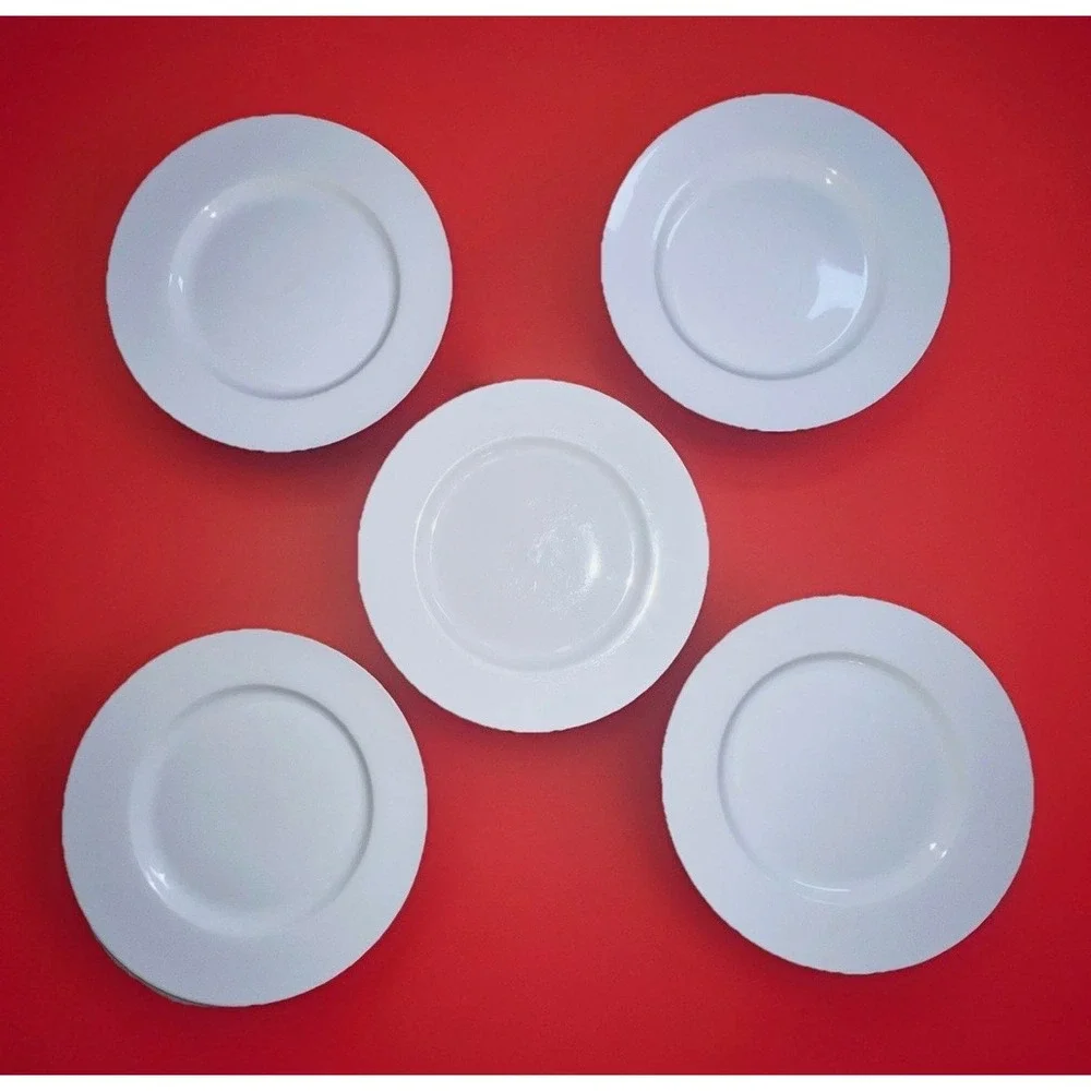 Pier 1 Dinner Plates Set of 5 White Good Luminous Porcelain Round China 11 inch